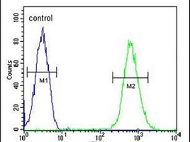 4 - Anti-CD37 Antibody AP96136
