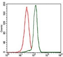 4 - Anti-PP2C-alpha Antibody AP96138