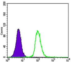 4 - Anti-GSTP1 Antibody AP96144