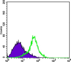 4 - Anti-Metadherin Antibody AP96145
