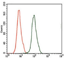 4 - Anti-Kallikrein 3 Antibody AP96147