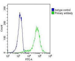 4 - Anti-Beta-actin Antibody AP96150