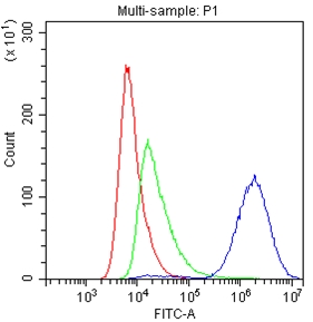 4 - Anti-CD147/Emmprin Picoband Antibody ABO10044