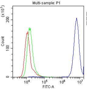 4 - Anti-CD147/Emmprin Picoband Antibody ABO10044
