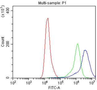 4 - Anti-IFNGR1 Picoband Antibody ABO10207