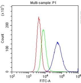 4 - Anti-CD11a Picoband Antibody ABO10306