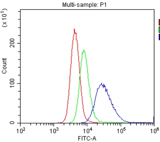 4 - Anti-CD40/TNFRSF5 Picoband Antibody ABO11670