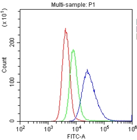 4 - Anti-CD20 Picoband Antibody ABO11771