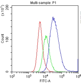 4 - Anti-CD34 Picoband Antibody ABO11773