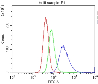 4 - Anti-CD86/B7-2 Antibody ABO11942