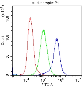 4 - Anti-KIT/SCFR Antibody ABO11949