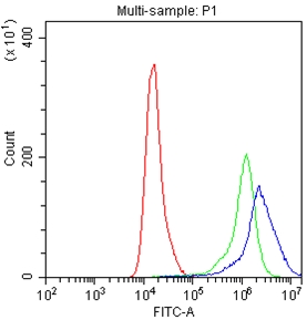 4 - Anti-TNFRSF7/CD27 Picoband Antibody ABO12616
