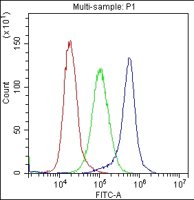 4 - Anti-CD59 Antibody ABO12754