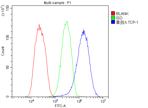 1 - Anti-TCP1 alpha Antibody Picoband™ (monoclonal, 2E7) ABO14331