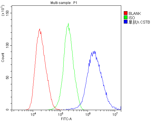 1 - Anti-Stefin B CSTB Antibody Picoband™ (monoclonal, 2B6) ABO14337