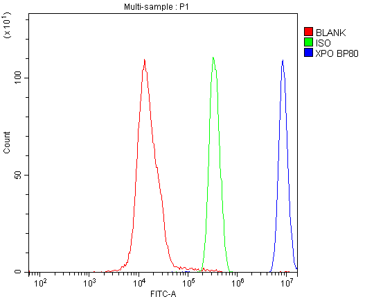 1 - Anti-CRM1 XPO1 Antibody Picoband™ (monoclonal, 5G3) ABO14339