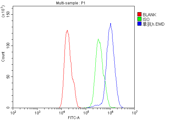 1 - Anti-Emerin EMD Antibody Picoband™ (monoclonal, 5A10) ABO14347