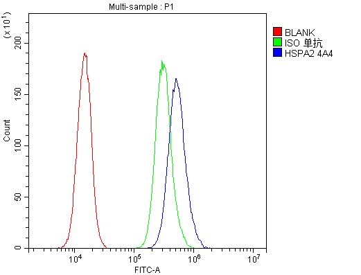 1 - Anti-HSPA2 Antibody Picoband™ (monoclonal, 4A4) ABO14778