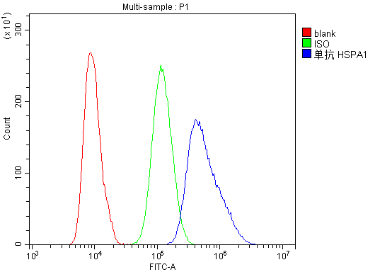 1 - Anti-Hsp70 HSPA1A Antibody Picoband™ (monoclonal, 3H5) ABO14779