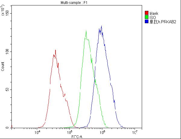 1 - Anti-AMPK beta 2 PRKAB2 Antibody Picoband™ (monoclonal, 6G1) ABO14781