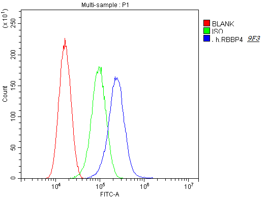 1 - Anti-RbAp48 RBBP4 Antibody Picoband™ (monoclonal, 9F3) ABO14782