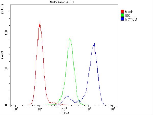 1 - Anti-Cytochrome C CYCS Antibody Picoband™ (monoclonal, 15F10) ABO14783