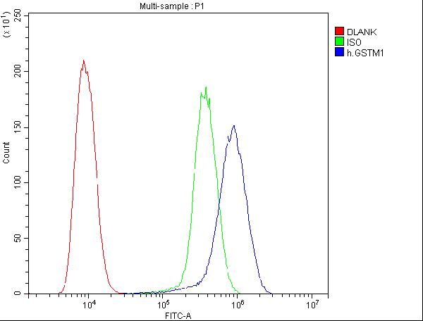 1 - Anti-GSTM1 Antibody Picoband™ (monoclonal, 11F2) ABO14784