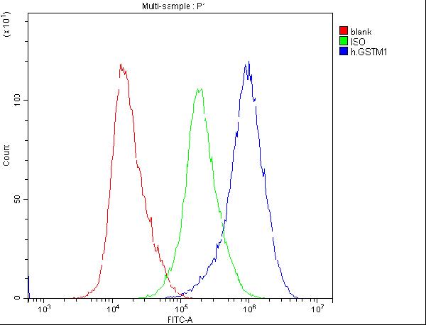 1 - Anti-GSTM1 Antibody Picoband™ (monoclonal, 11F2) ABO14784