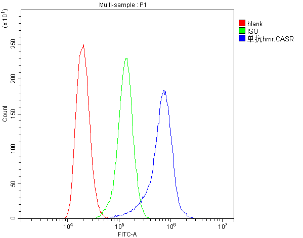 1 - Anti-CASR Antibody Picoband™ (monoclonal, 11E9) ABO14786