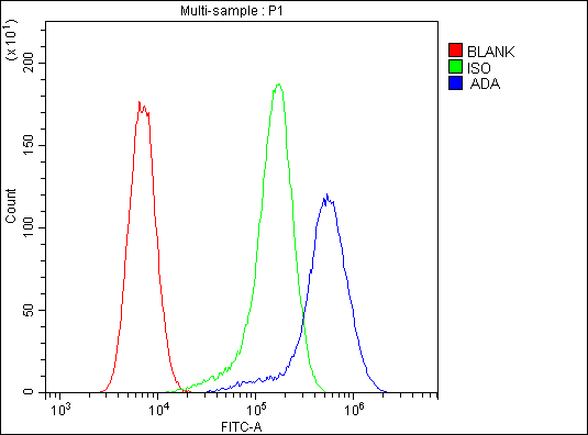 1 - Anti-ADA Antibody Picoband™ (monoclonal, 6D4) ABO14798