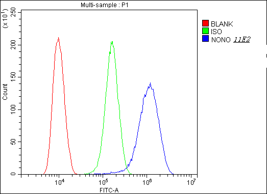 1 - Anti-nmt55 p54nrb NONO Antibody Picoband™ (monoclonal, 11E2) ABO14799