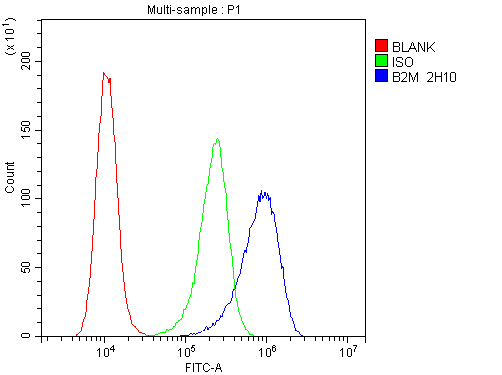 1 - Anti-Beta 2 Microglobulin B2M Antibody Picoband™ (monoclonal, 2H10) ABO14818