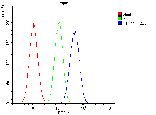 1 - Anti-SHP2/PTPN11 Antibody Picoband™ (monoclonal, 2E6) ABO14824