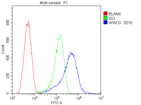 4 - Anti-WWOX Antibody Picoband™ (monoclonal, 3D10) ABO14825