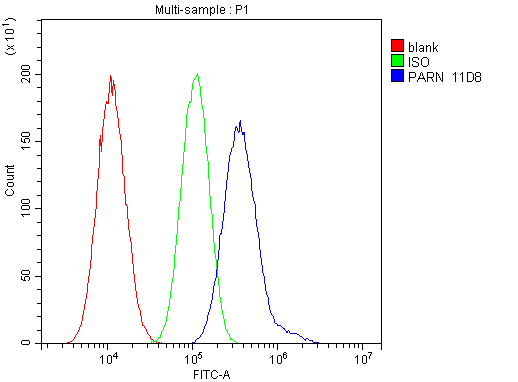 1 - Anti-PARN Antibody Picoband™ (monoclonal, 11D8) ABO14826