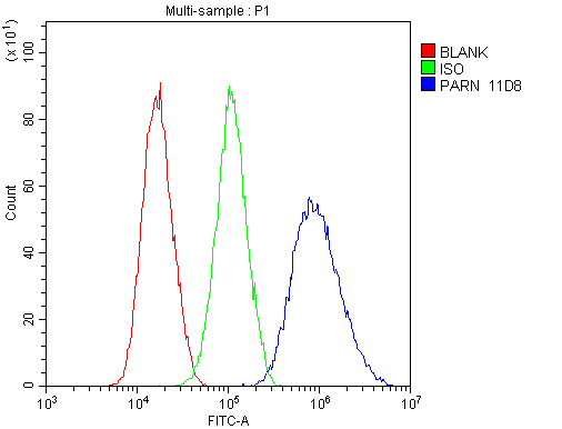 1 - Anti-PARN Antibody Picoband™ (monoclonal, 11D8) ABO14826