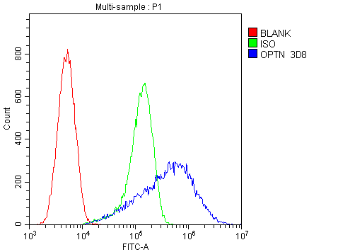 1 - Anti-Optineurin/OPTN Antibody Picoband™ (monoclonal, 3D8) ABO14827