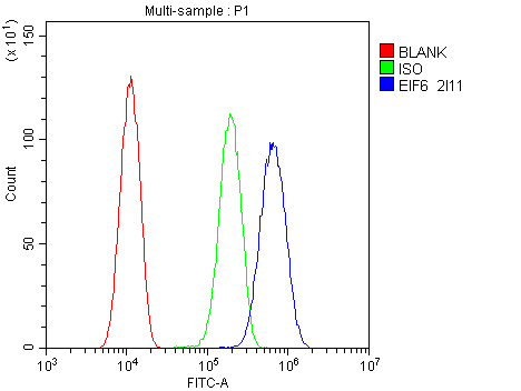 3 - Anti-EIF6 Antibody Picoband™ (monoclonal, 2I11) ABO14828