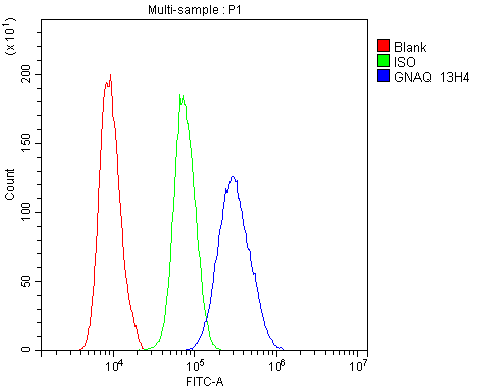1 - Anti-GNAQ Antibody Picoband™ (monoclonal, 13H4) ABO14829