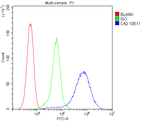 1 - Anti-CA2 Antibody Picoband™ (monoclonal, 10E11) ABO14830