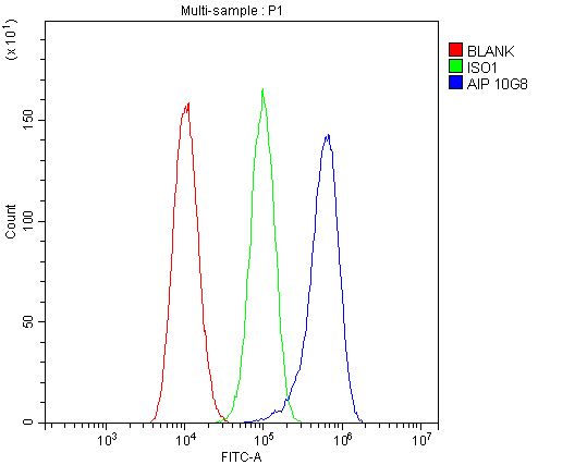 1 - Anti-ARA9/AIP Antibody Picoband™ (monoclonal, 10G8) ABO14831