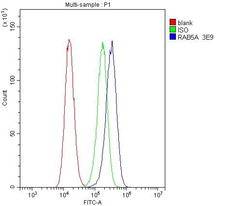 1 - Anti-Rab5/RAB5A Antibody Picoband™ (monoclonal, 3E9) ABO14833