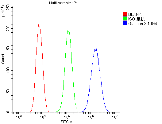 1 - Anti-Galectin 3/LGALS3 Antibody Picoband™ (monoclonal, 12B12) ABO14834
