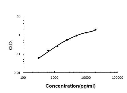 2 - Anti-Cystatin C/CST3 Antibody Picoband™ (monoclonal, 4H8) ABO14837