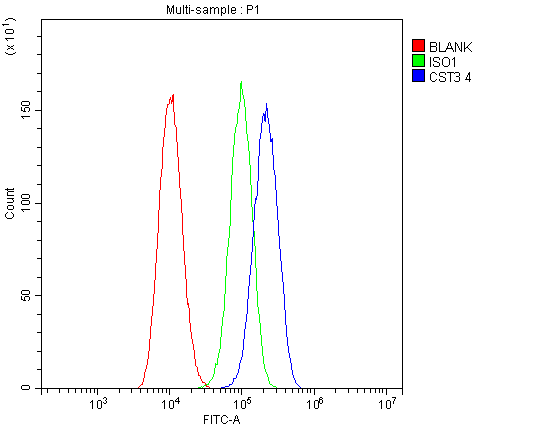 1 - Anti-Cystatin C/CST3 Antibody Picoband™ (monoclonal, 4H8) ABO14837
