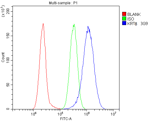 1 - Anti-Cytokeratin 8 KRT8 Antibody Picoband™ (monoclonal, 3G9) ABO14840