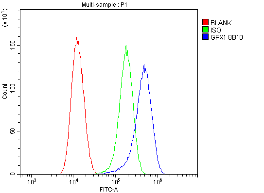 1 - Anti-GPX1 Antibody Picoband™ (monoclonal, 8B10) ABO14842