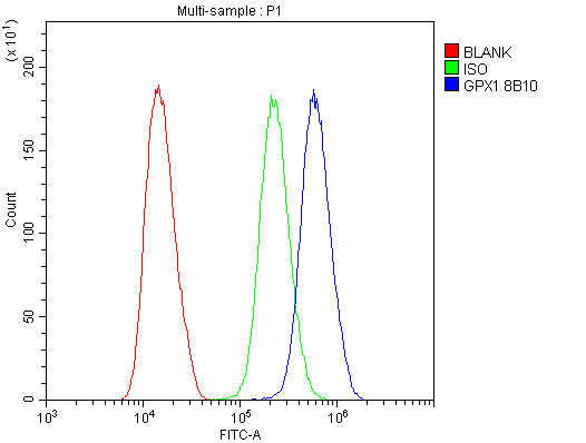 1 - Anti-GPX1 Antibody Picoband™ (monoclonal, 8B10) ABO14842