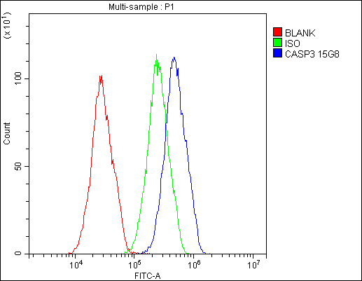 1 - Anti-Caspase-3 Antibody Picoband™ (monoclonal, 15G8) ABO14845