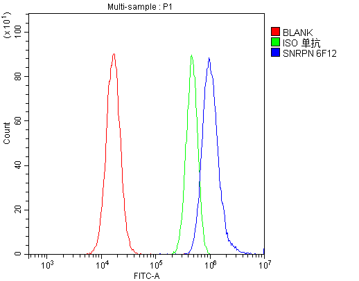 1 - Anti-SNRPN Antibody Picoband™ (monoclonal, 6F12) ABO14846